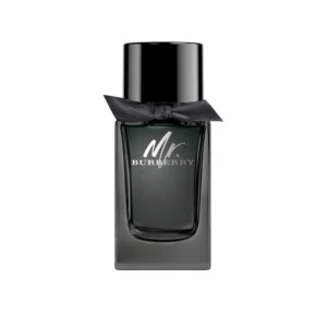 MR BURBERRY MEN EDP 100ML